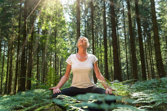 What Is Tree Bathing?