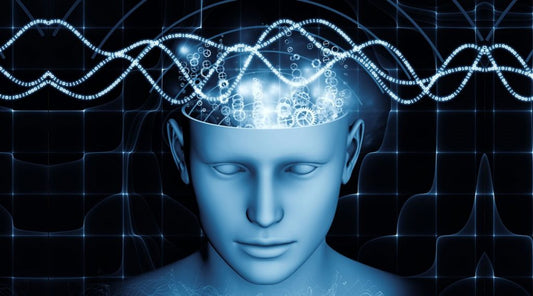 This is How Sound Affects Your Brain
