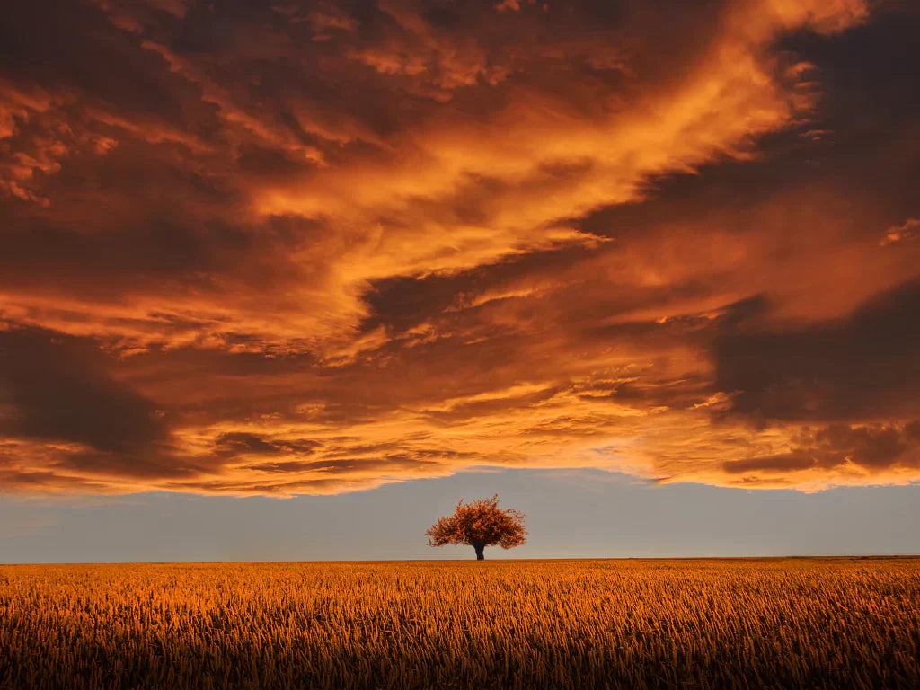 What Is Monatomic Gold?