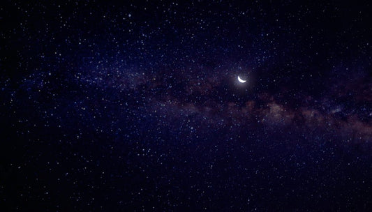 Why Do We Dream?