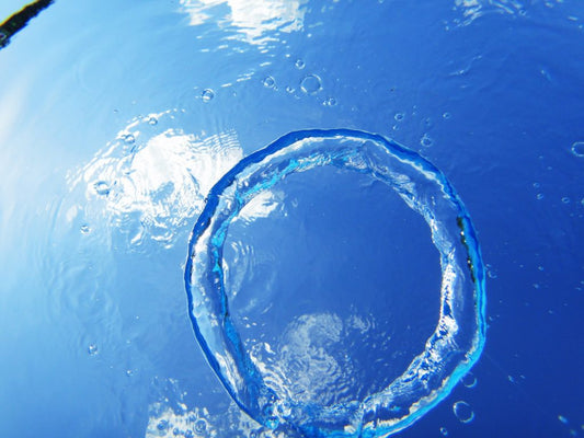 What is the Torus?