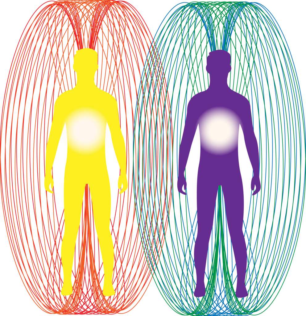 Torus field