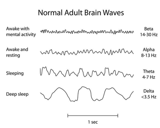 this-is-how-sound-affects-your-brain-monatomic-orme