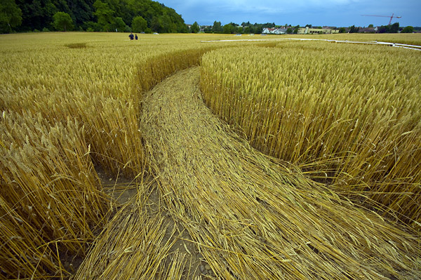 Crop Circle